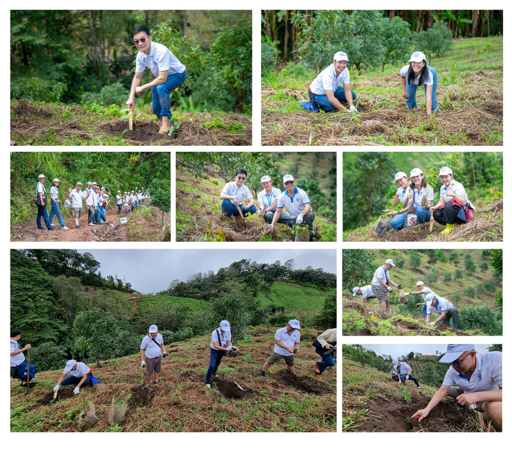 ทิสโก้-เฮช ฟรี-ชาวบ้านนาฮ่องใต้ ปลูกป่าสร้างอาชีพไร้ควันที่ยั่งยืน 1 1727255661768