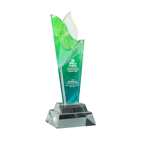 29 The Financial Empowerment Award
